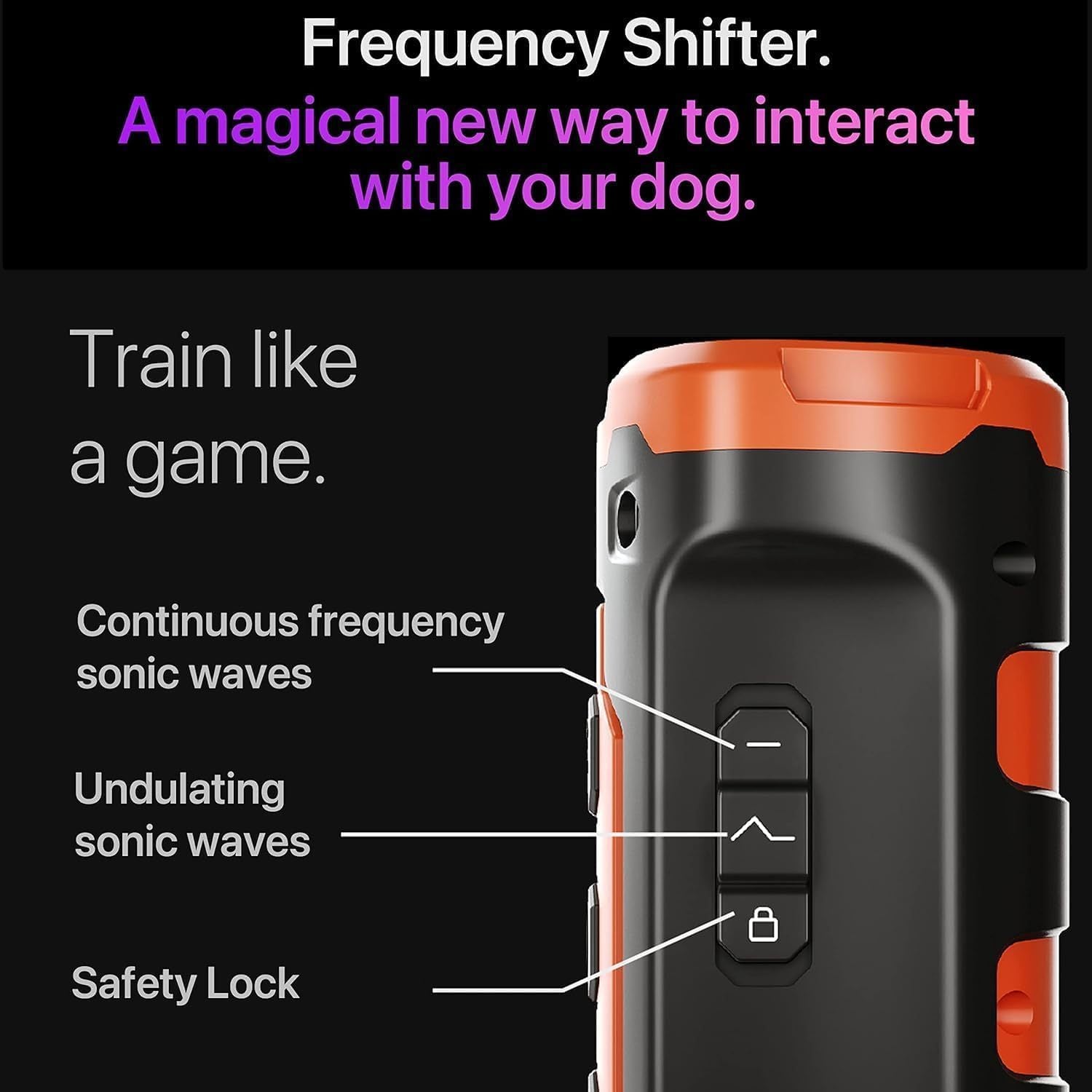 2025 New Dog Trainer