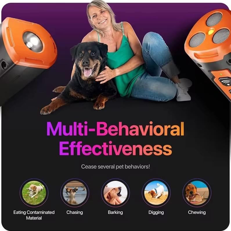 2025 New Dog Trainer