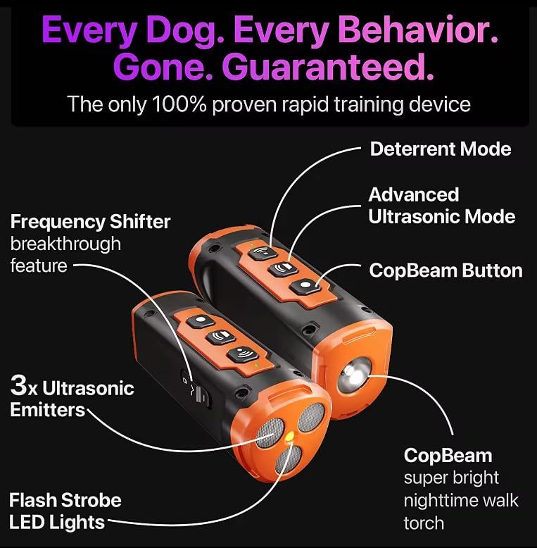 2025 New Dog Trainer