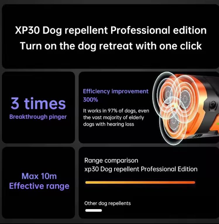 2025 New Dog Trainer